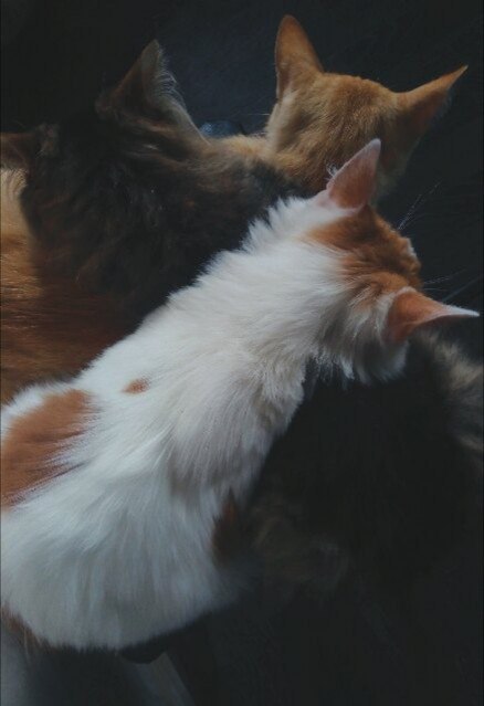 Так день на дворе какой спать. Смотреть фото Так день на дворе какой спать. Смотреть картинку Так день на дворе какой спать. Картинка про Так день на дворе какой спать. Фото Так день на дворе какой спать Так день на дворе какой спать. Смотреть фото Так день на дворе какой спать. Смотреть картинку Так день на дворе какой спать. Картинка про Так день на дворе какой спать. Фото Так день на дворе какой спать