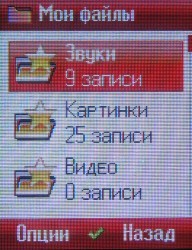Что в переводе означает шизгара. Смотреть фото Что в переводе означает шизгара. Смотреть картинку Что в переводе означает шизгара. Картинка про Что в переводе означает шизгара. Фото Что в переводе означает шизгара