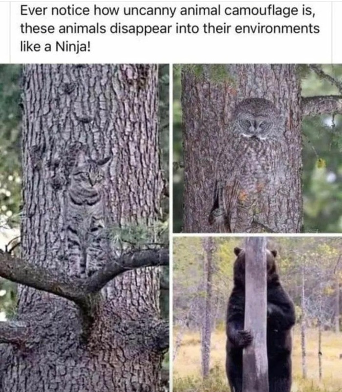   , , 