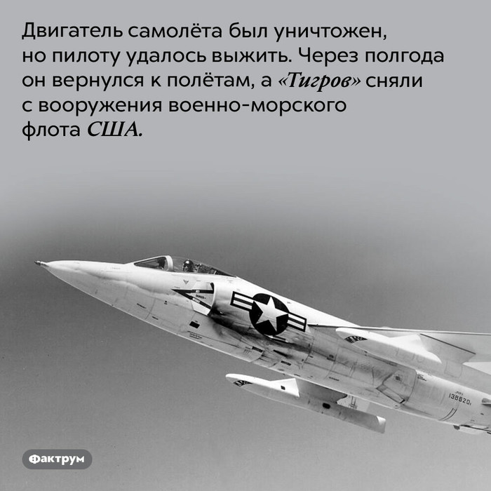 Flight что значит. Самолет пикабу.