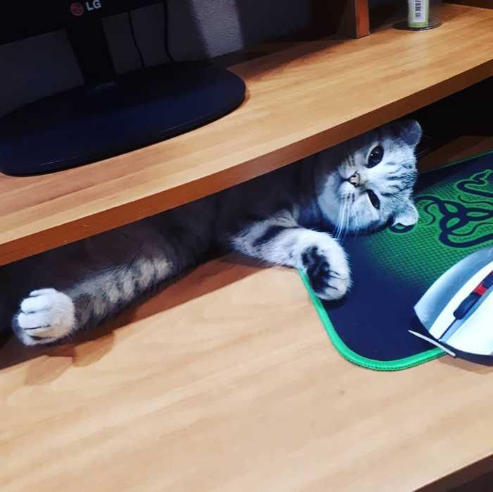 &quot;   ?  -   ,  !&quot;