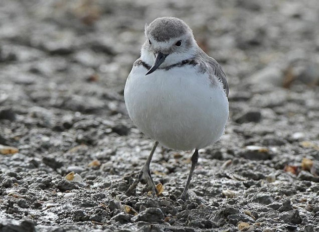 Один из любимых принципов