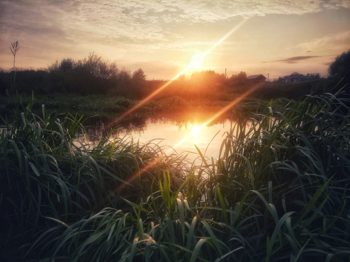 �.����� �.�������