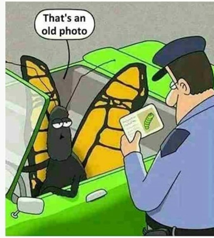  , , 