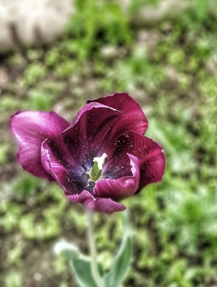 ����������� ������. ��� ����� ������ ����� ���������