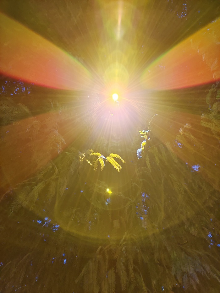 ��� ������ ������ ����� �� ���� � ����� ����� ������