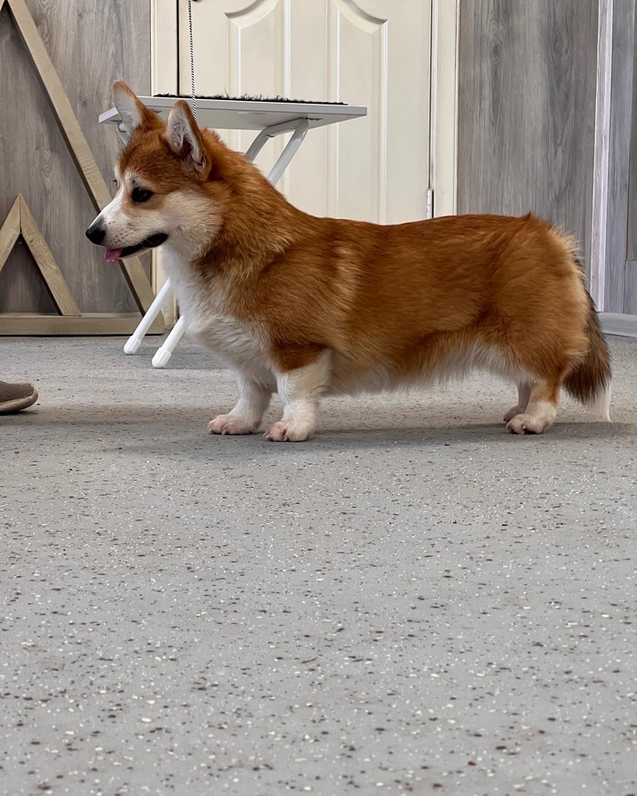 ������� �������� ������������ ������ �� ����� , ��� ��� �� �������, � ������))) �� ����� ��������