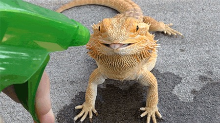   , , , 