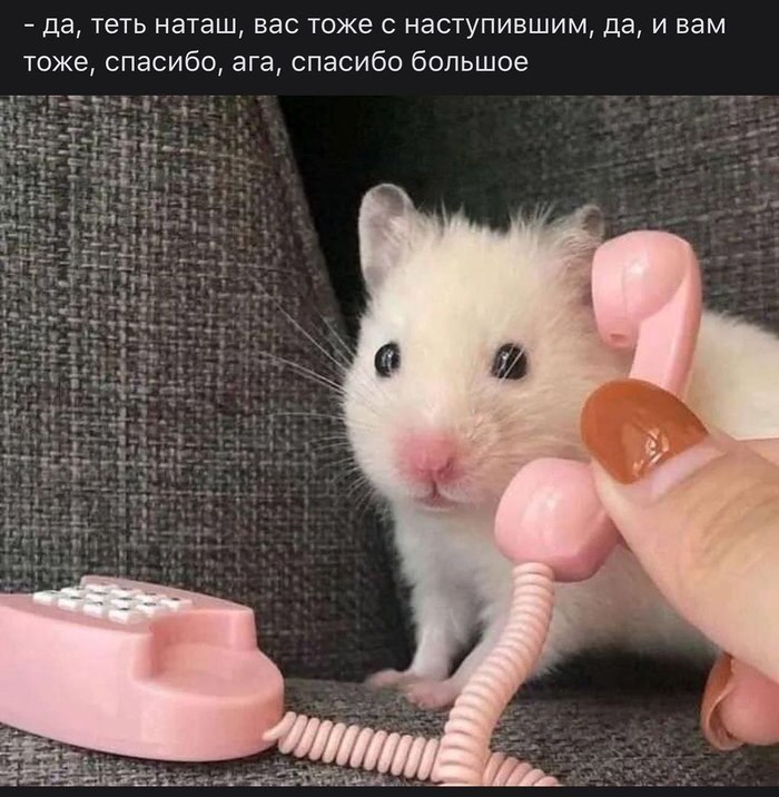   , , ,   , , , 