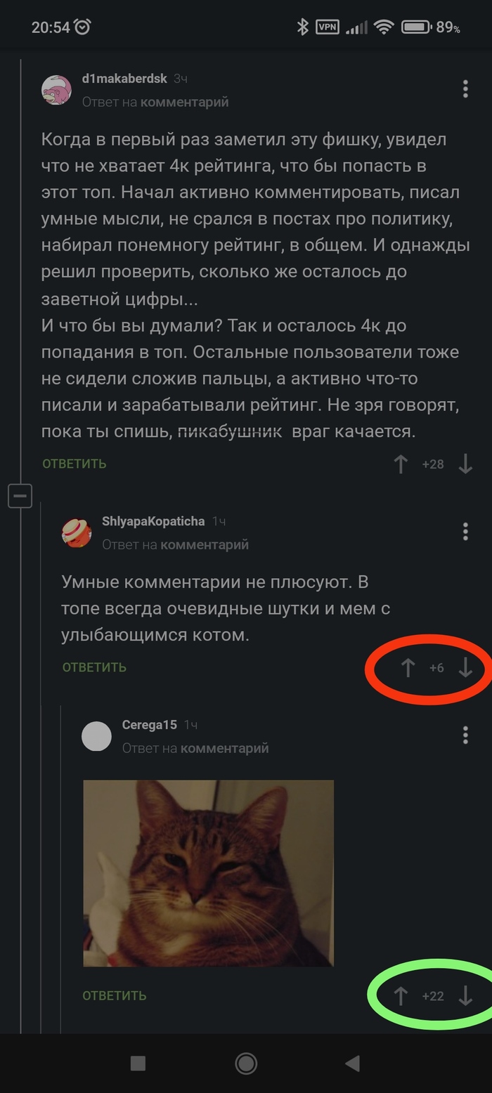 ��� ���� ������