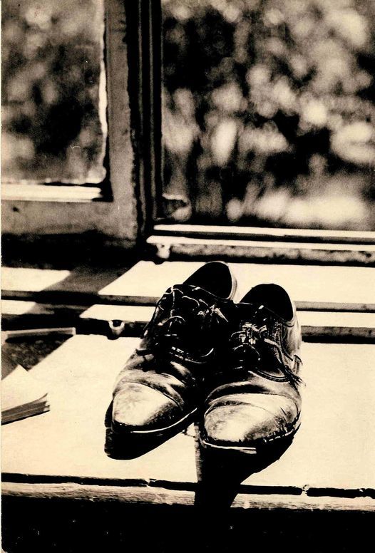 ���� �������