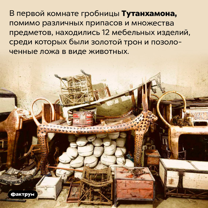 Что измеряется в килограммах. Смотреть фото Что измеряется в килограммах. Смотреть картинку Что измеряется в килограммах. Картинка про Что измеряется в килограммах. Фото Что измеряется в килограммах