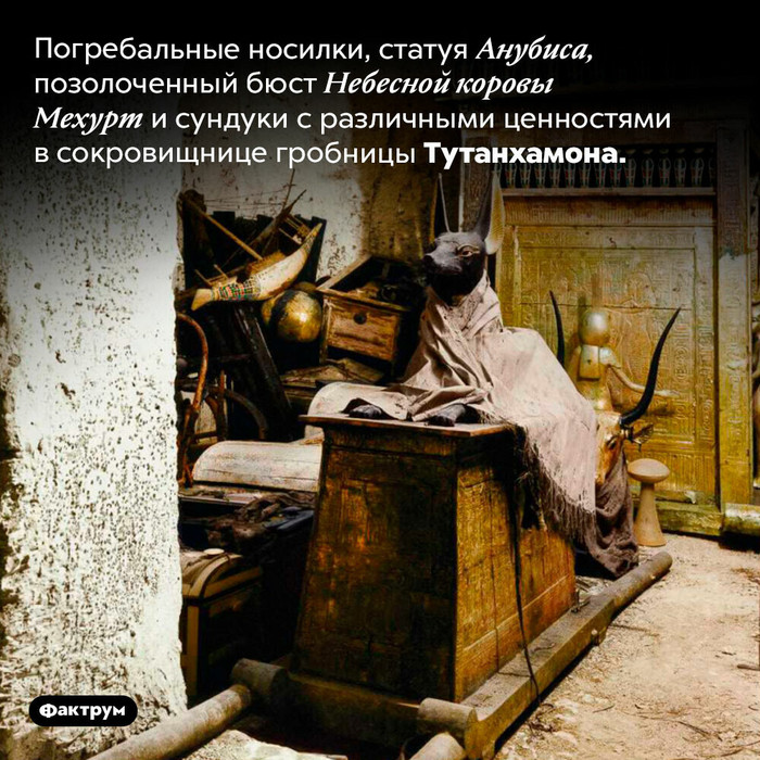 Что измеряется в килограммах. Смотреть фото Что измеряется в килограммах. Смотреть картинку Что измеряется в килограммах. Картинка про Что измеряется в килограммах. Фото Что измеряется в килограммах