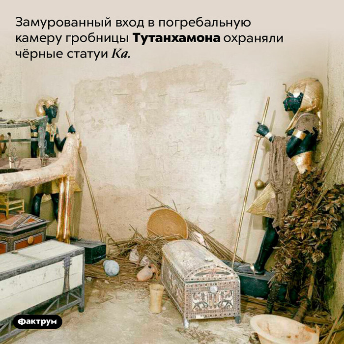 Что измеряется в килограммах. Смотреть фото Что измеряется в килограммах. Смотреть картинку Что измеряется в килограммах. Картинка про Что измеряется в килограммах. Фото Что измеряется в килограммах