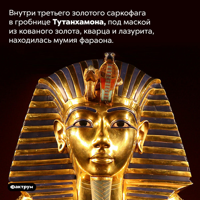 Что измеряется в килограммах. Смотреть фото Что измеряется в килограммах. Смотреть картинку Что измеряется в килограммах. Картинка про Что измеряется в килограммах. Фото Что измеряется в килограммах