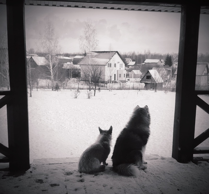 ���������� ����������