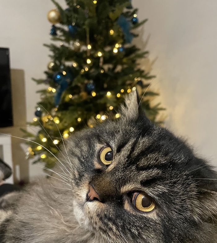 С Наступающим!