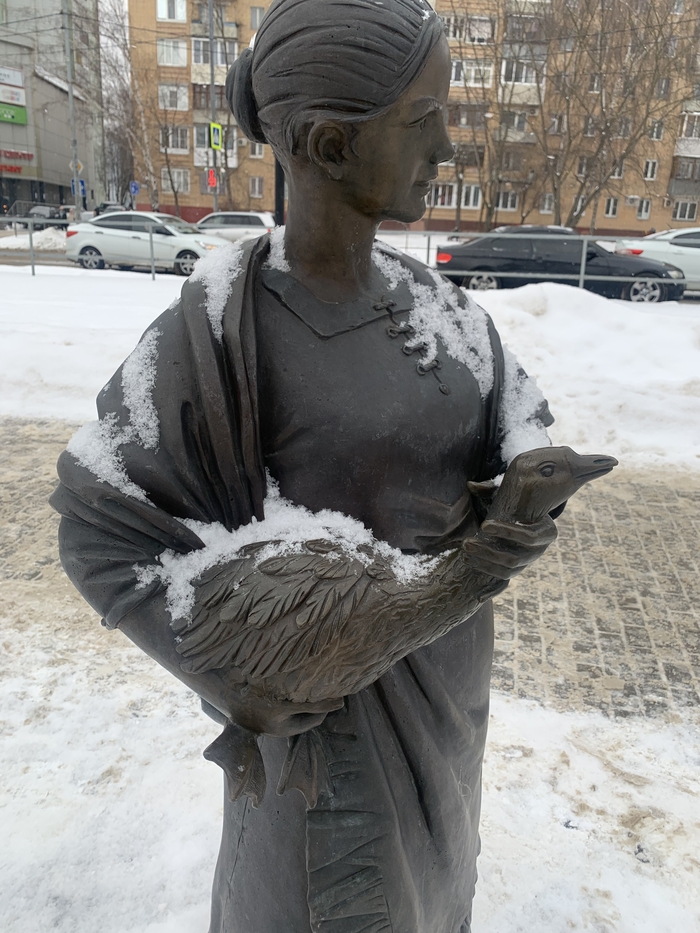 Просто женщина душит гуся