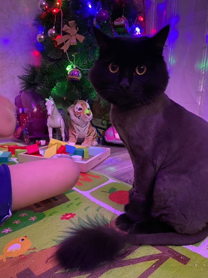 ���������� ������ �����