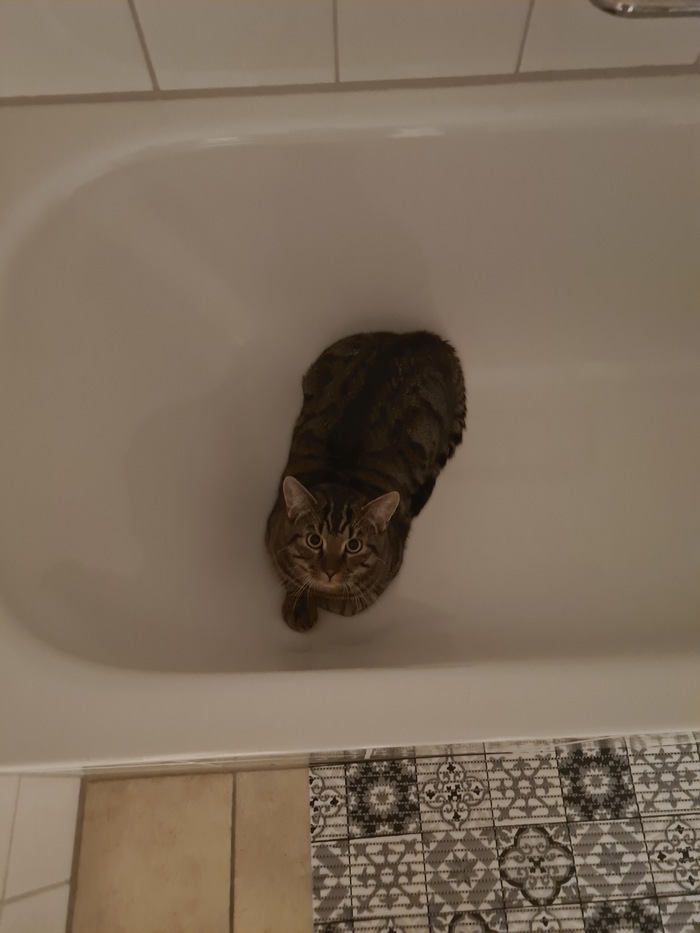 ����� ������