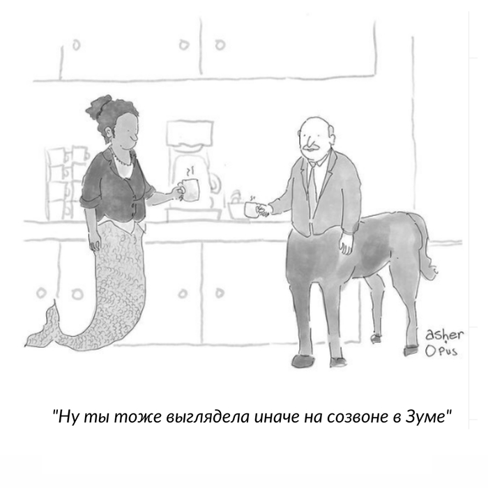    , The New Yorker,  , ZOOM Cloud Meetings