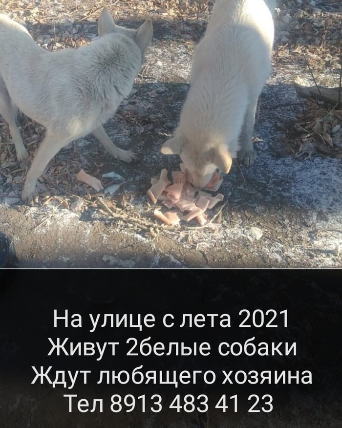 Видео слетели с мотоцикла. Смотреть фото Видео слетели с мотоцикла. Смотреть картинку Видео слетели с мотоцикла. Картинка про Видео слетели с мотоцикла. Фото Видео слетели с мотоцикла