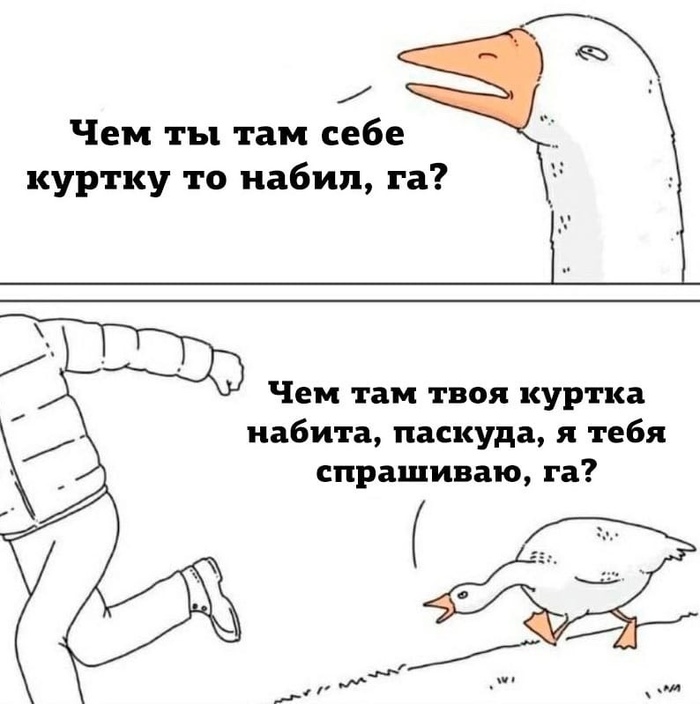 1640895382138458237.jpg