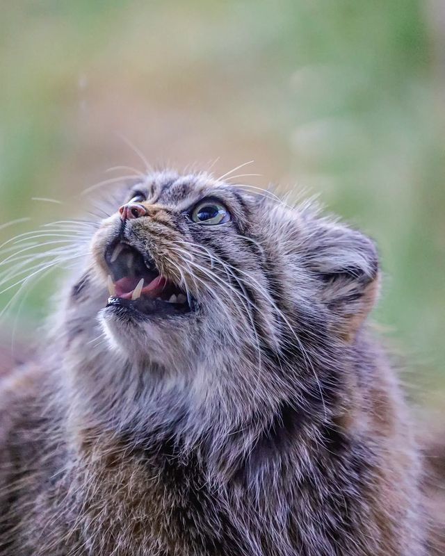 � ������ � ��������� ������ ��������� �� ������?