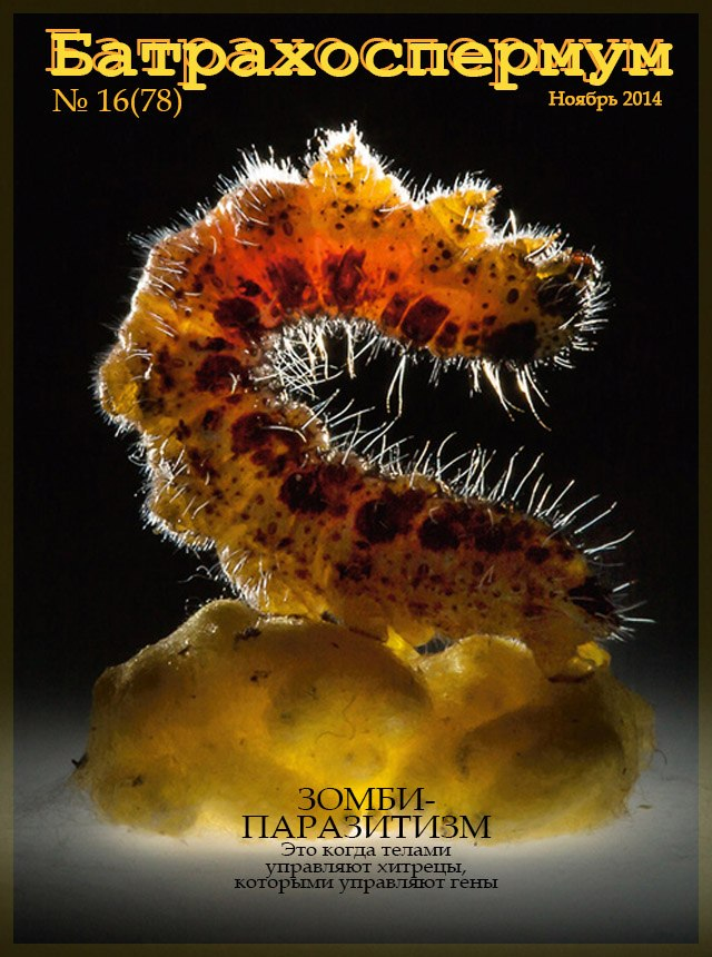 Записки ветеринарного врача 50