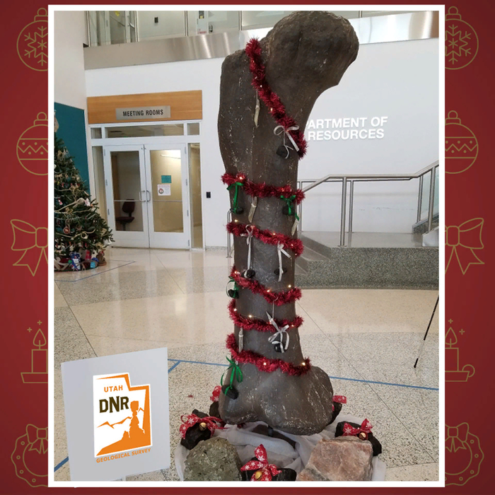 Новогодняя елка в департаменте природных ресурсов штата Юта