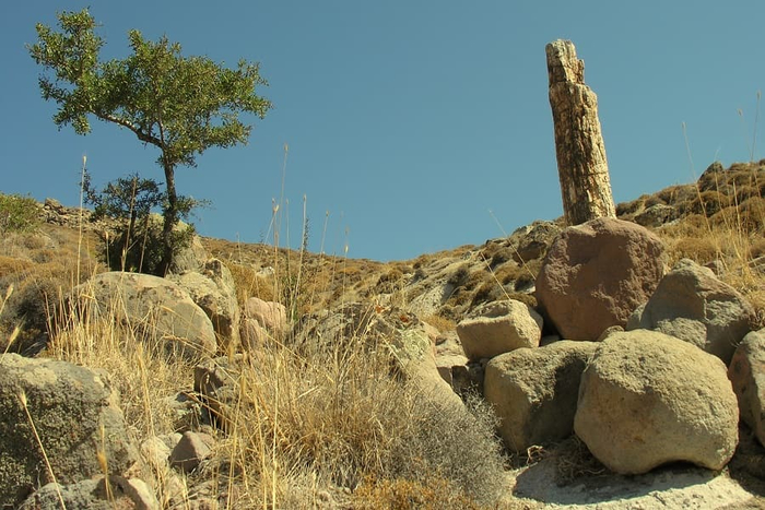 � �������