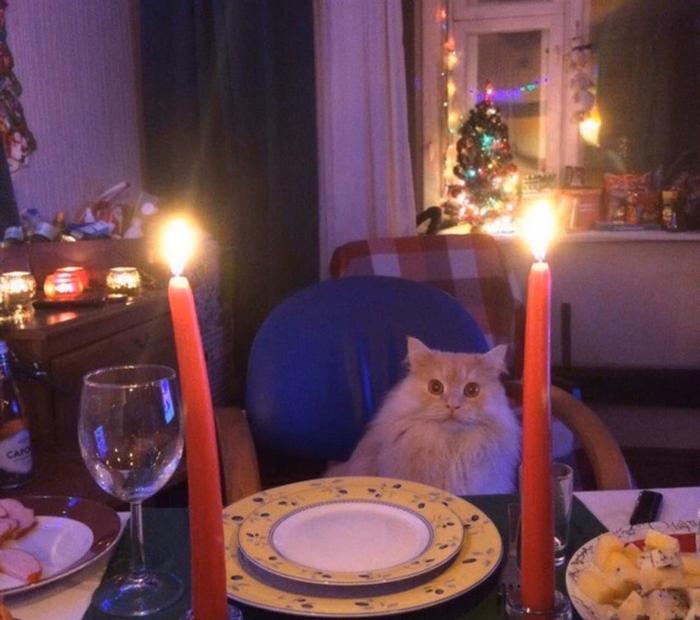 ������������� ������� ������ ����