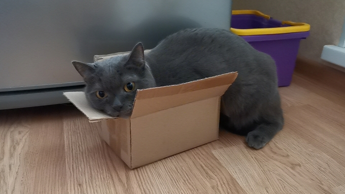 Идеальный размер