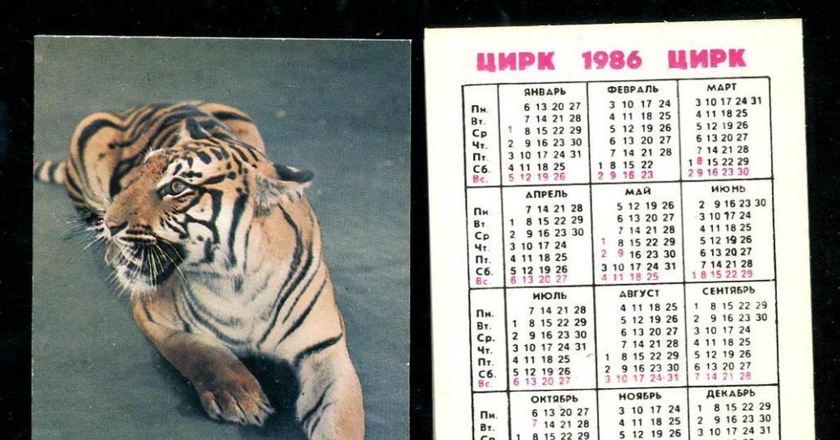 Годы после тигра. Год тигра 1986. Календарь 1986 года. Календарь год тигра. Календарь 1986 года с тигром.
