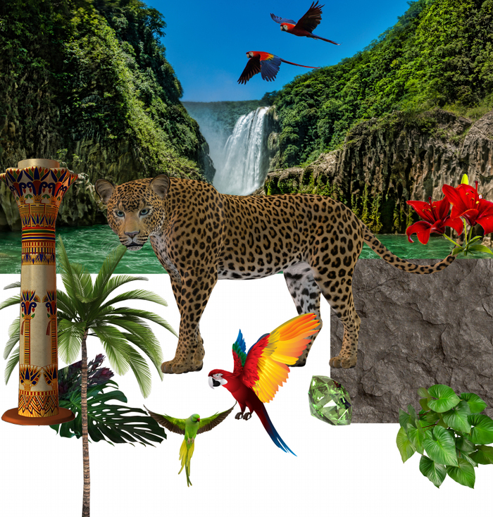   Photoshop, ,  , , 