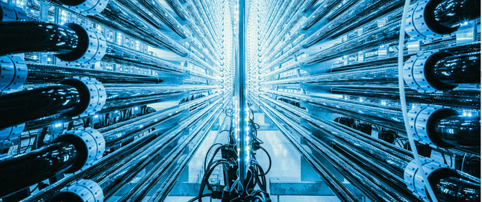 Лучшие научные снимки 2021 года. Жизнь растений