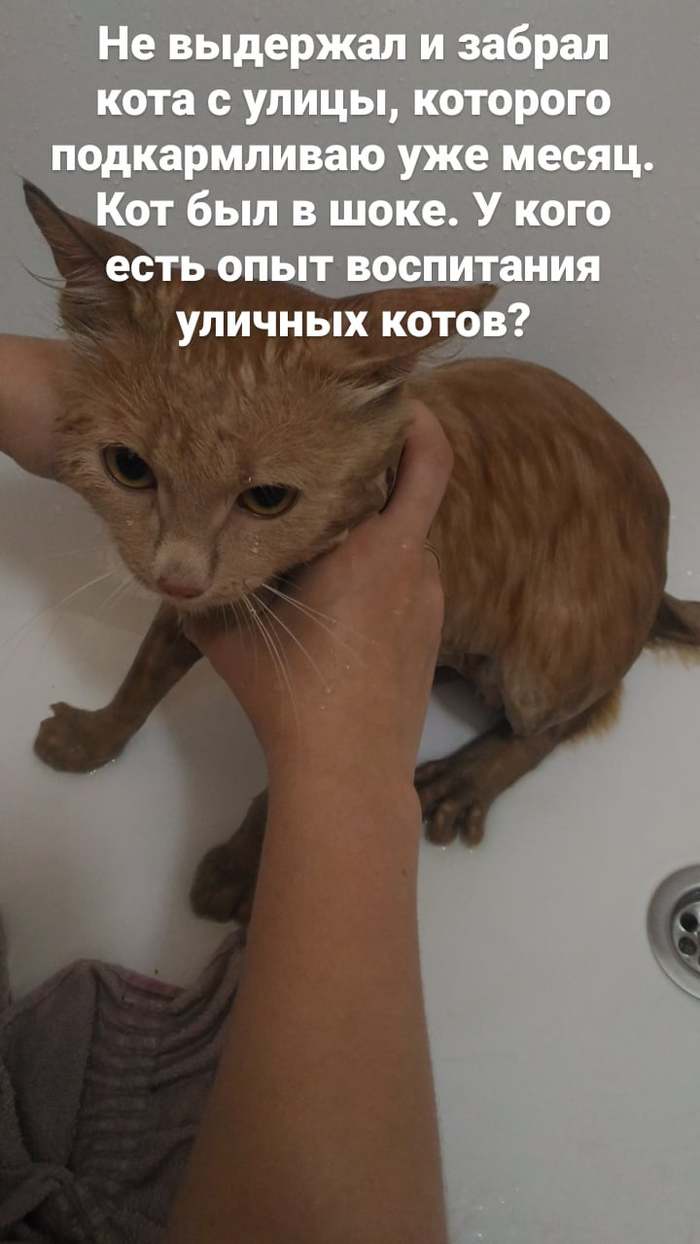      , , , 
