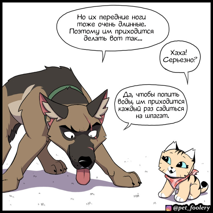 бугагашенька что это значит. Смотреть фото бугагашенька что это значит. Смотреть картинку бугагашенька что это значит. Картинка про бугагашенька что это значит. Фото бугагашенька что это значит бугагашенька что это значит. Смотреть фото бугагашенька что это значит. Смотреть картинку бугагашенька что это значит. Картинка про бугагашенька что это значит. Фото бугагашенька что это значит