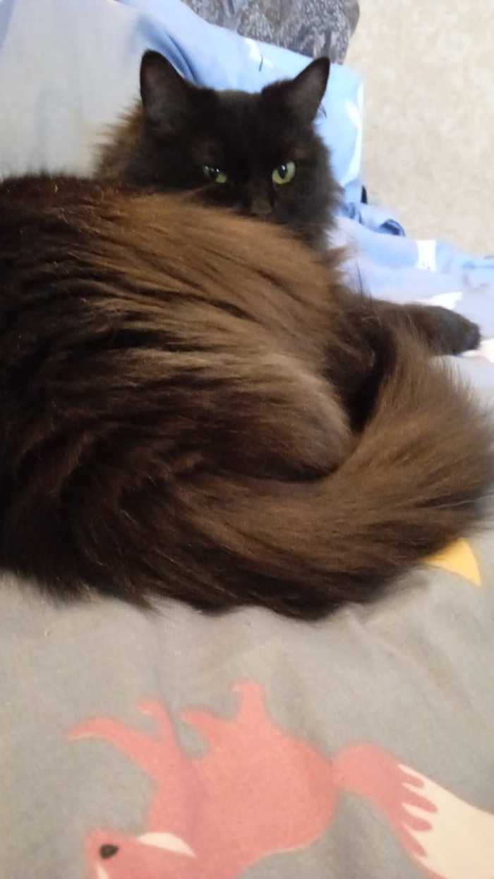 Привет вам из 2022!