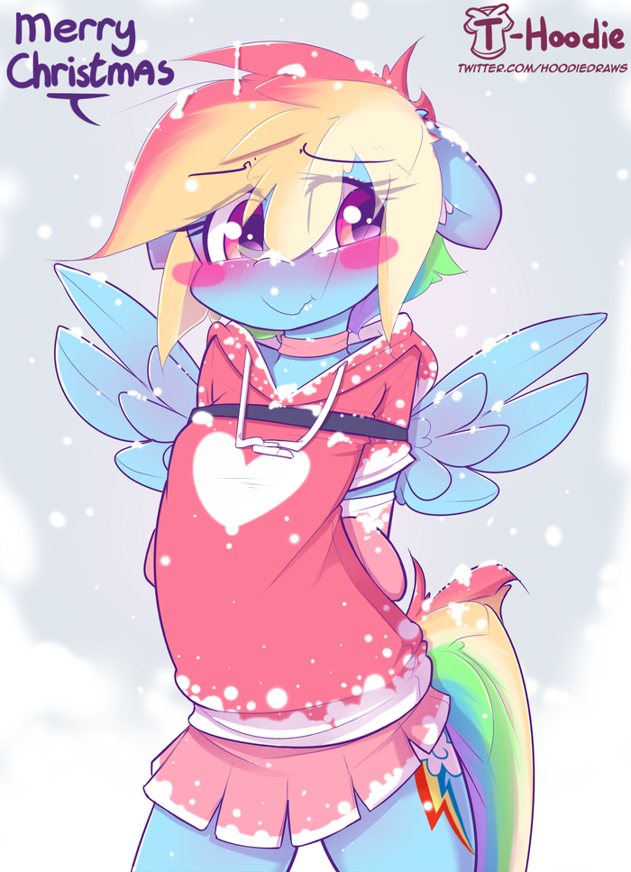   ! My Little Pony, Rainbow Dash, , T-hoodie