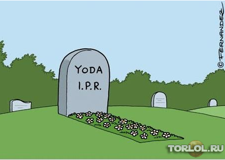 Yoda I.P.R