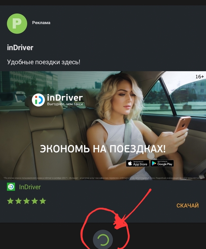 Совы на пикабу?