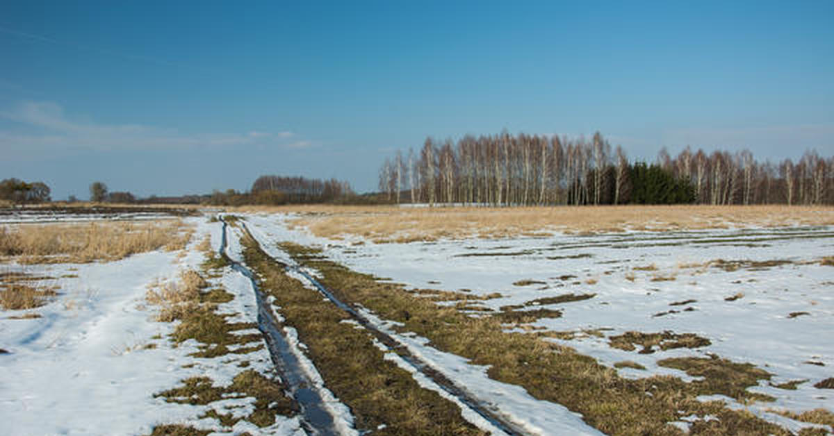 На дворе середина декабря окрестность охваченная. Грунтовые дороги зимой. Грунтовые дороги России. Грунтовая дорога зима. Грунтовая дорога после зимы.