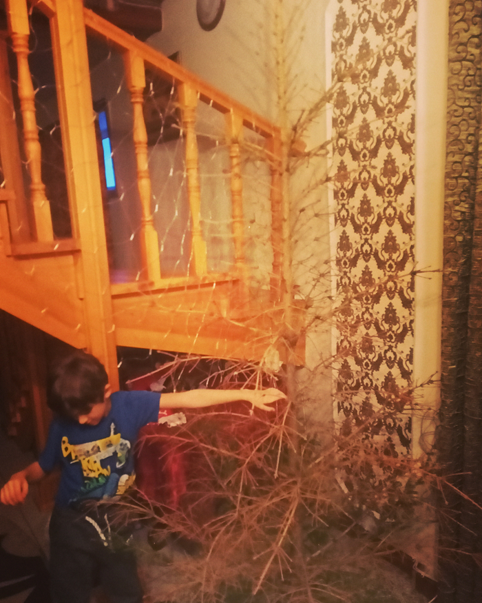 ���������� �� ����������� ������� �������