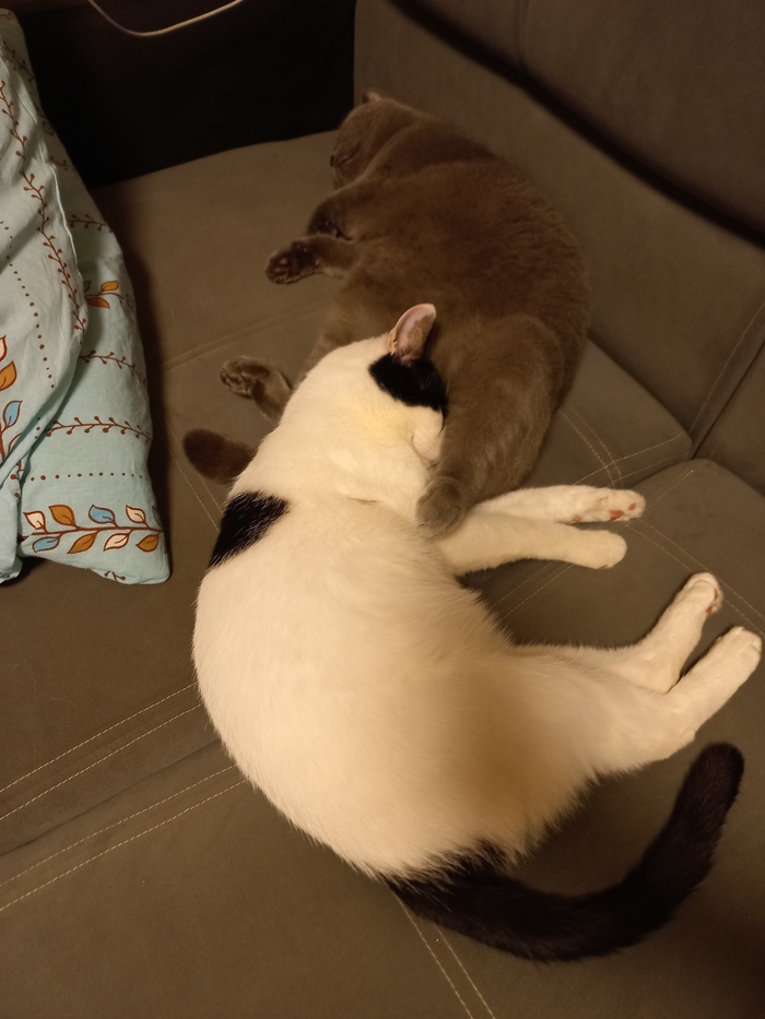 ����� ������ �������,����� � �������