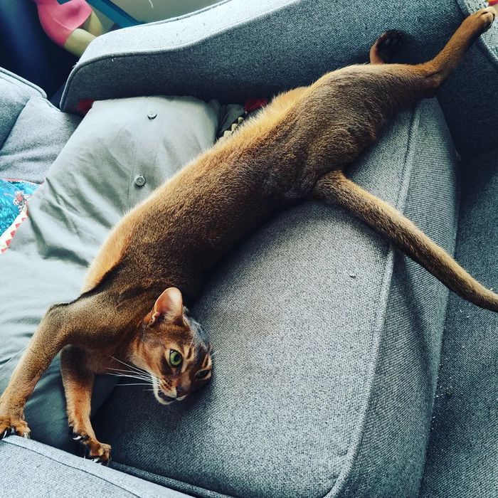 � ���� ���� ������������� �� ������ ����