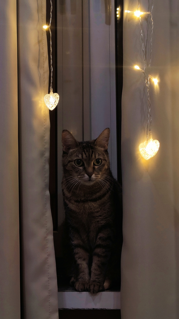 � ���������� �����������