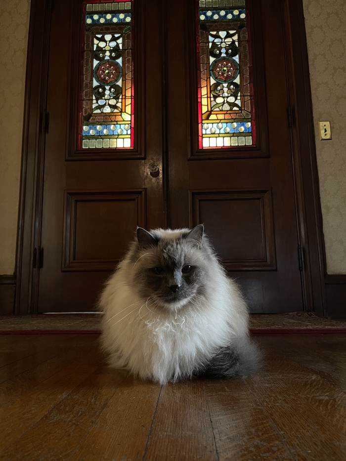 Хранитель врат