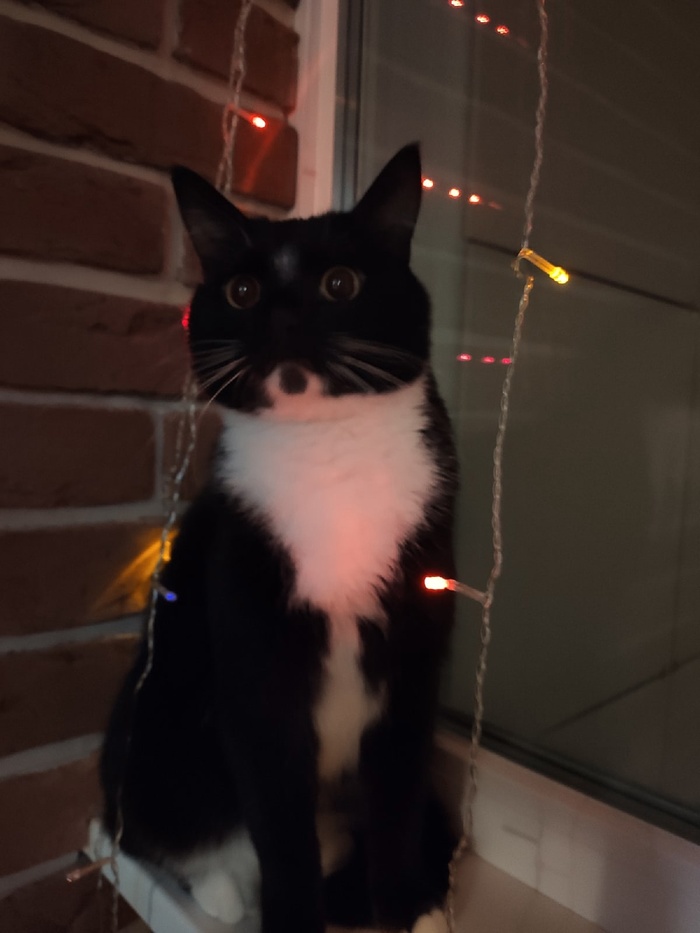 ��� ����������� ��� � ����� �����!