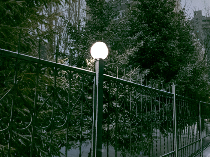 ���� �� ���� �� ������